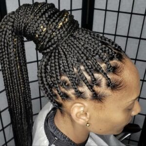 Top 30 Knotless Box Braids Hairstyles | Hairdo Hairstyle